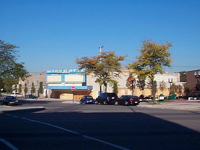 Wyandotte Theatre - From Down The Street (newer photo)